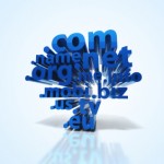 7 Of The Rarest TLDs Around