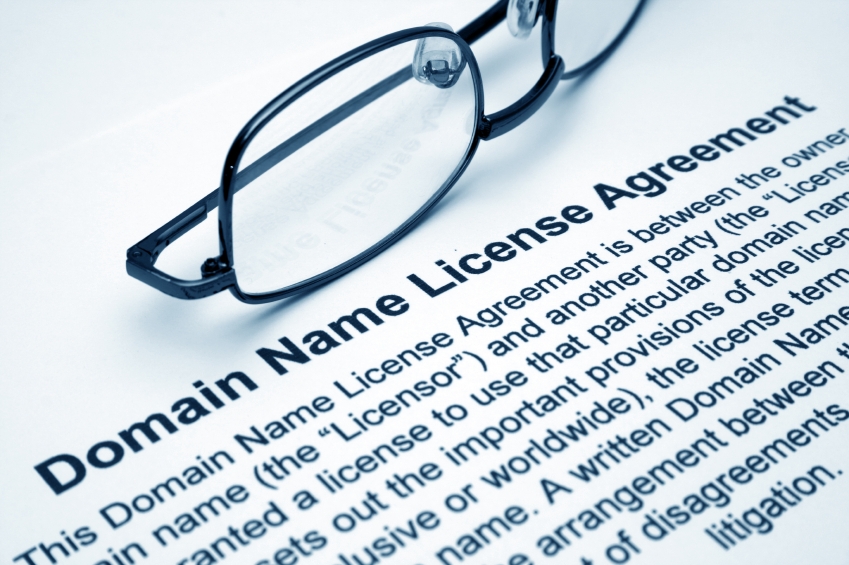 Domain name license agreement