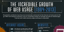 The Incredible Growth of Web Usage (1984-2013)