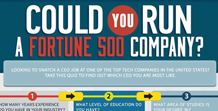 Could You Run a Fortune 500 Company?