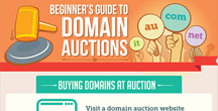 Beginner's Guide to Domain Auctions