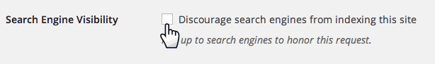 Search Engine Visibility