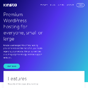 Kinsta homepage