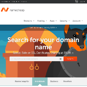 NameCheap homepage