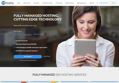 TMDHosting screenshot