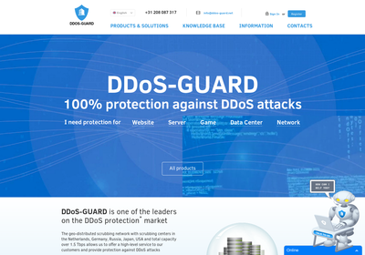 DDoS-GUARD screenshot