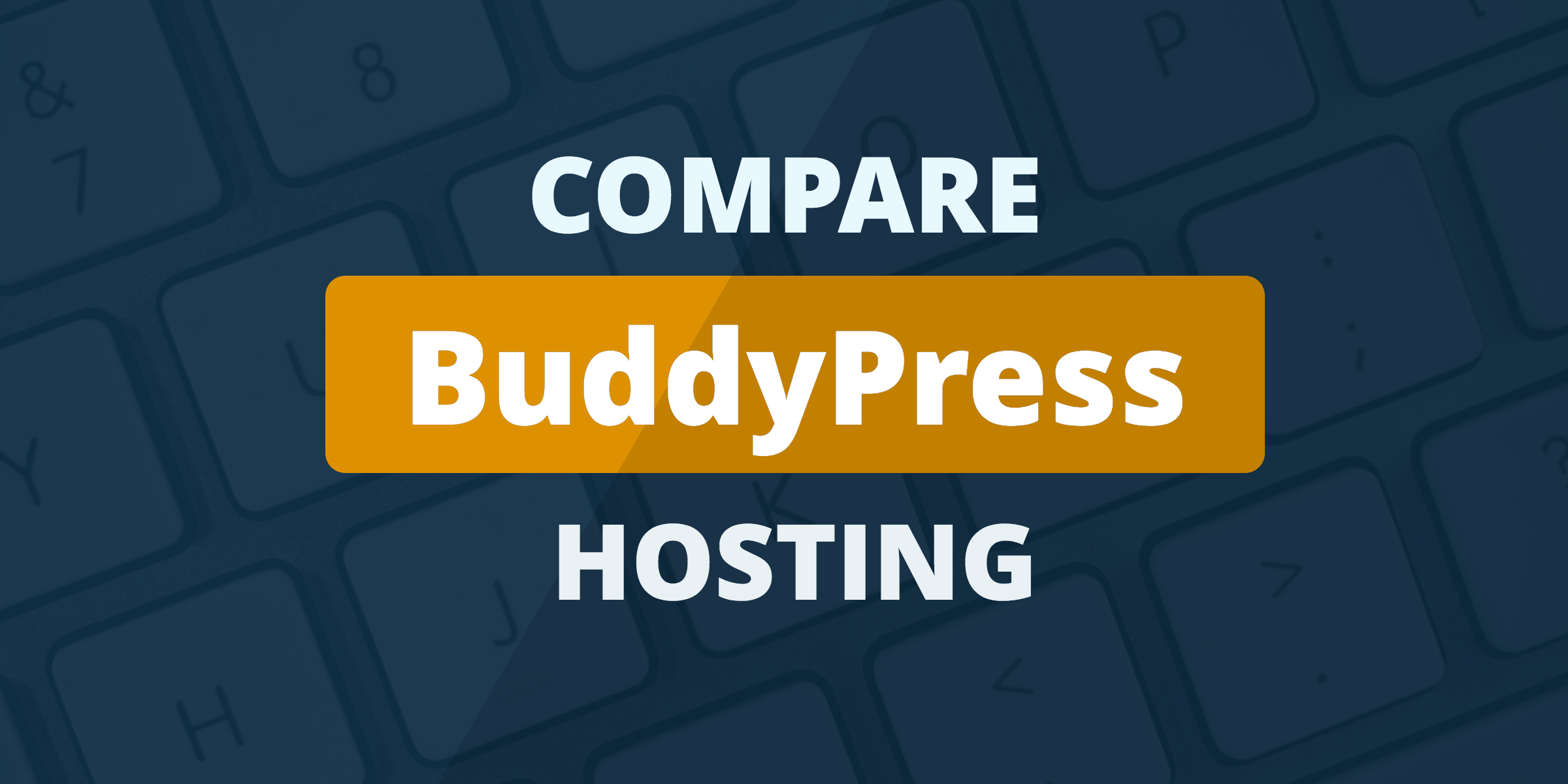 compare buddypress hosting