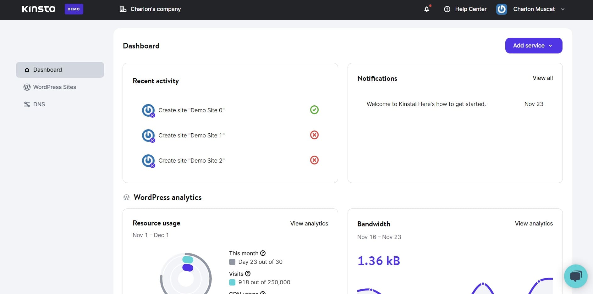 MyKinsta control panel