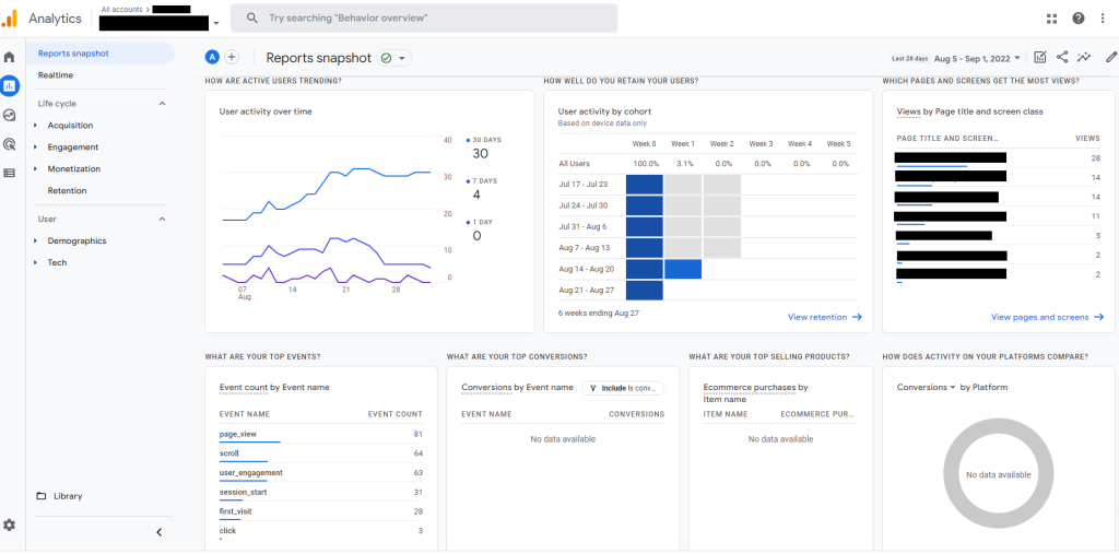 Google Analytics Dashboard