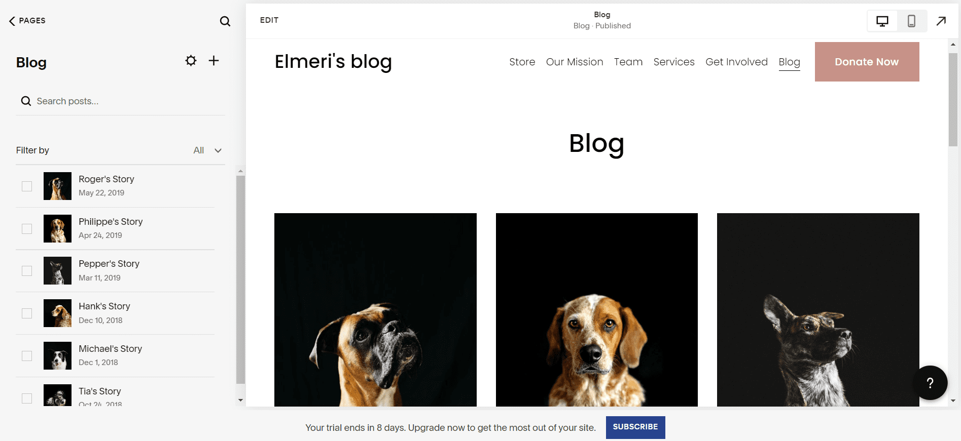 Squarespace SEO and blogging tools